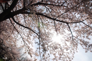 DSC_9449.jpg